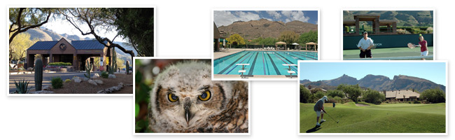 Ventana Canyon Amenities - Golf, Dining, Recreation, Nature